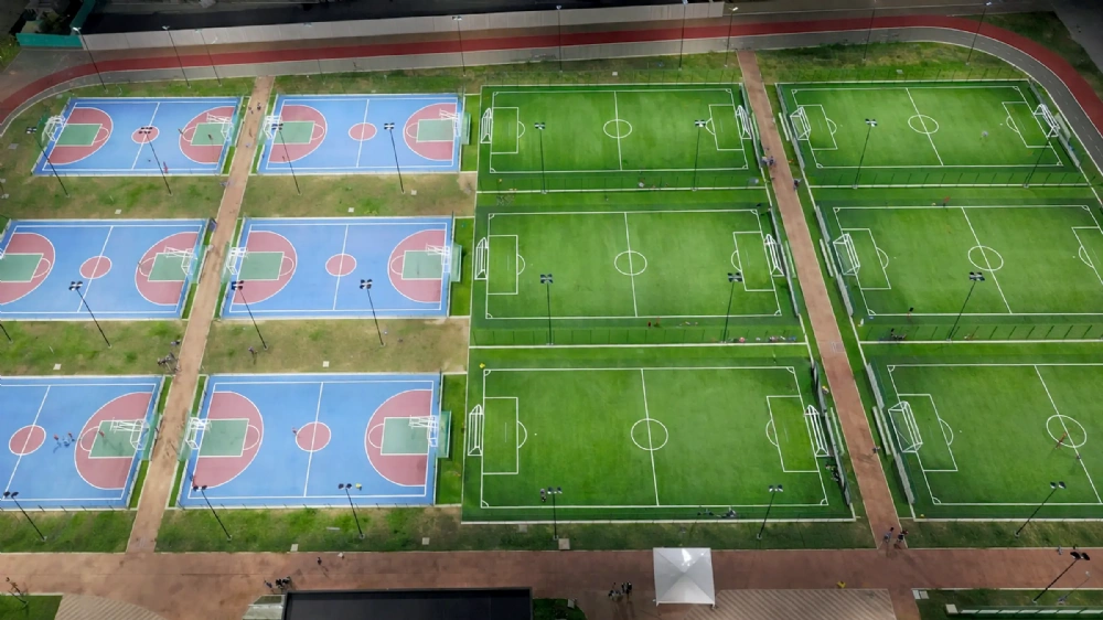 Baseline Perspective Capture